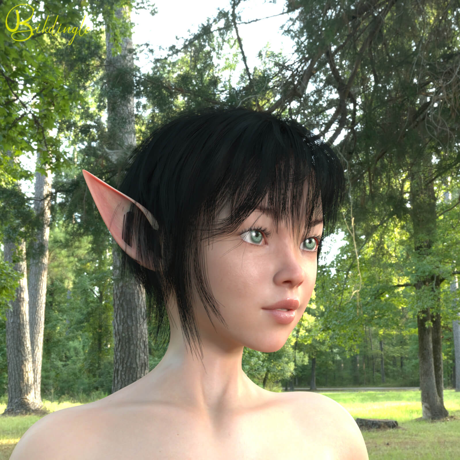 Lian as an Elf 3 3D Render, Digital Artwork by bikdingle