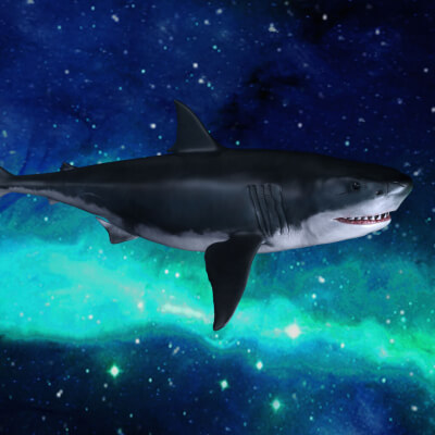 Space Shark 3D Wallpaper