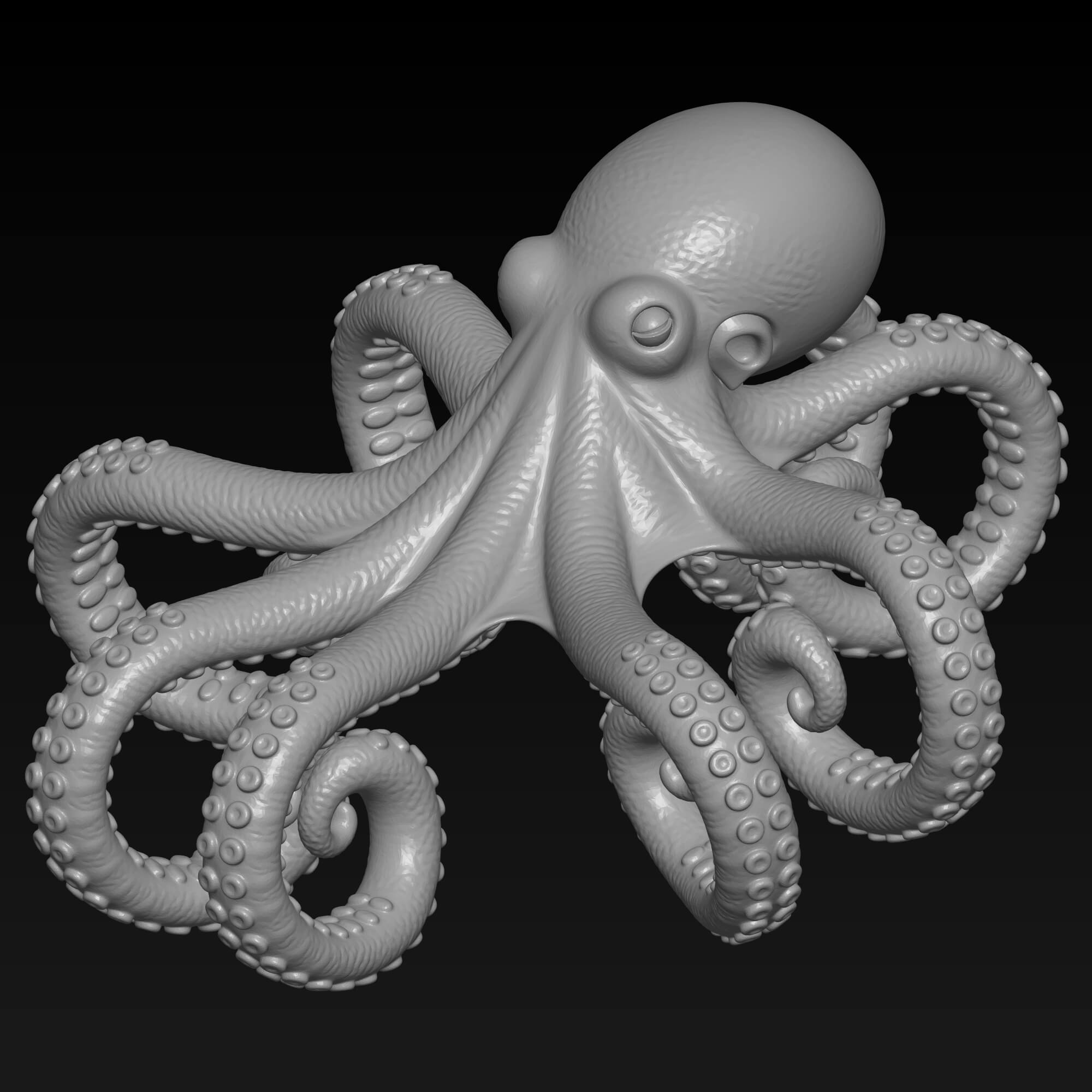 Octopus Napkin Holder STL File for 3D Printing 3D Model