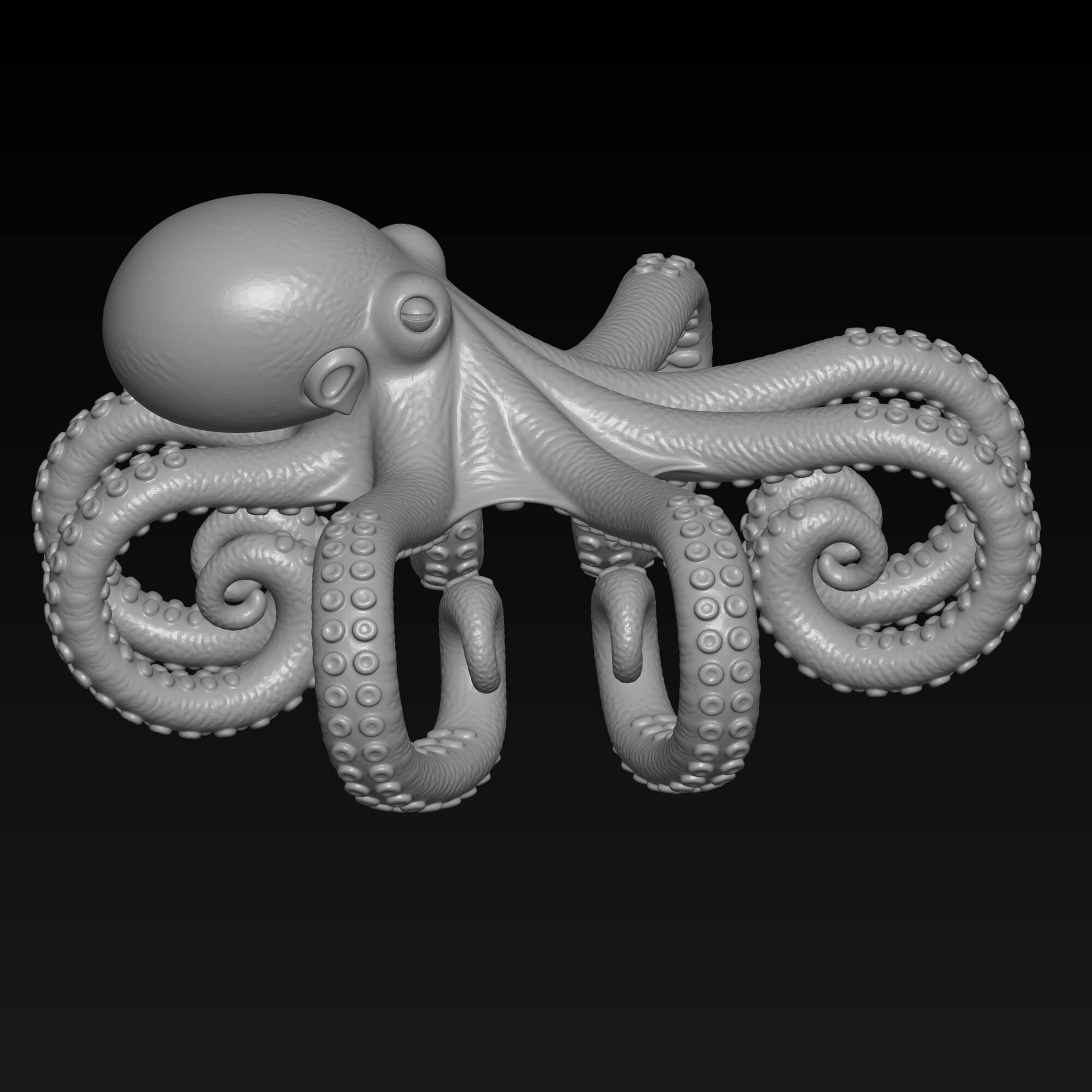 Octopus Napkin Holder STL File for 3D Printing 3D Model