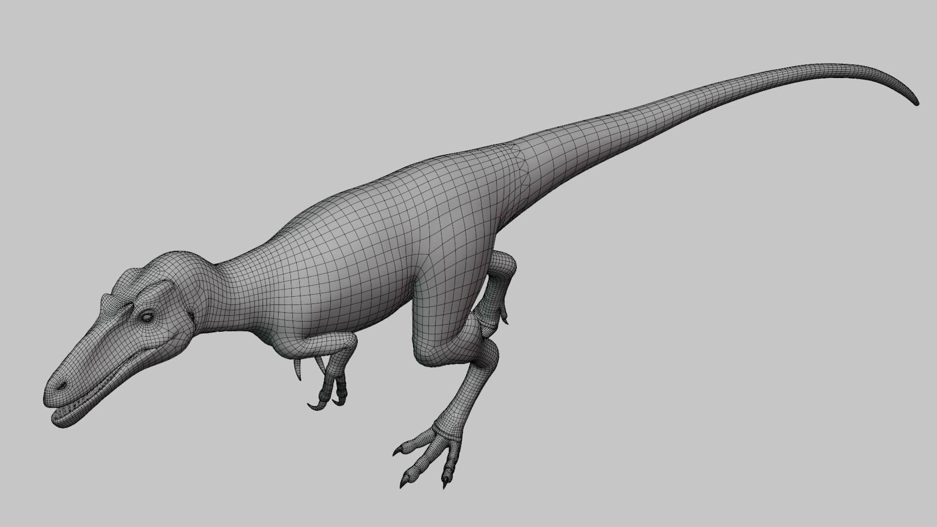 Nanotyrannus Rig 3D Model