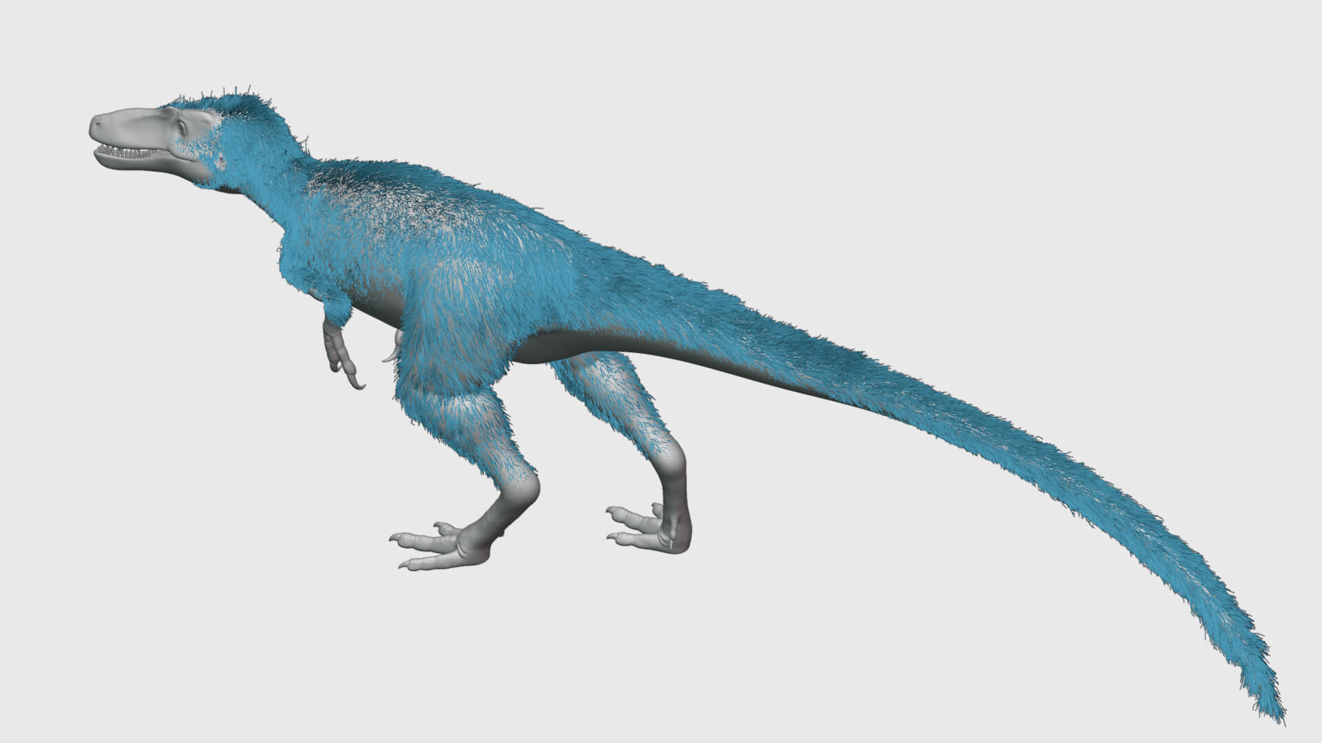 Nanotyrannus Rig 3D Model