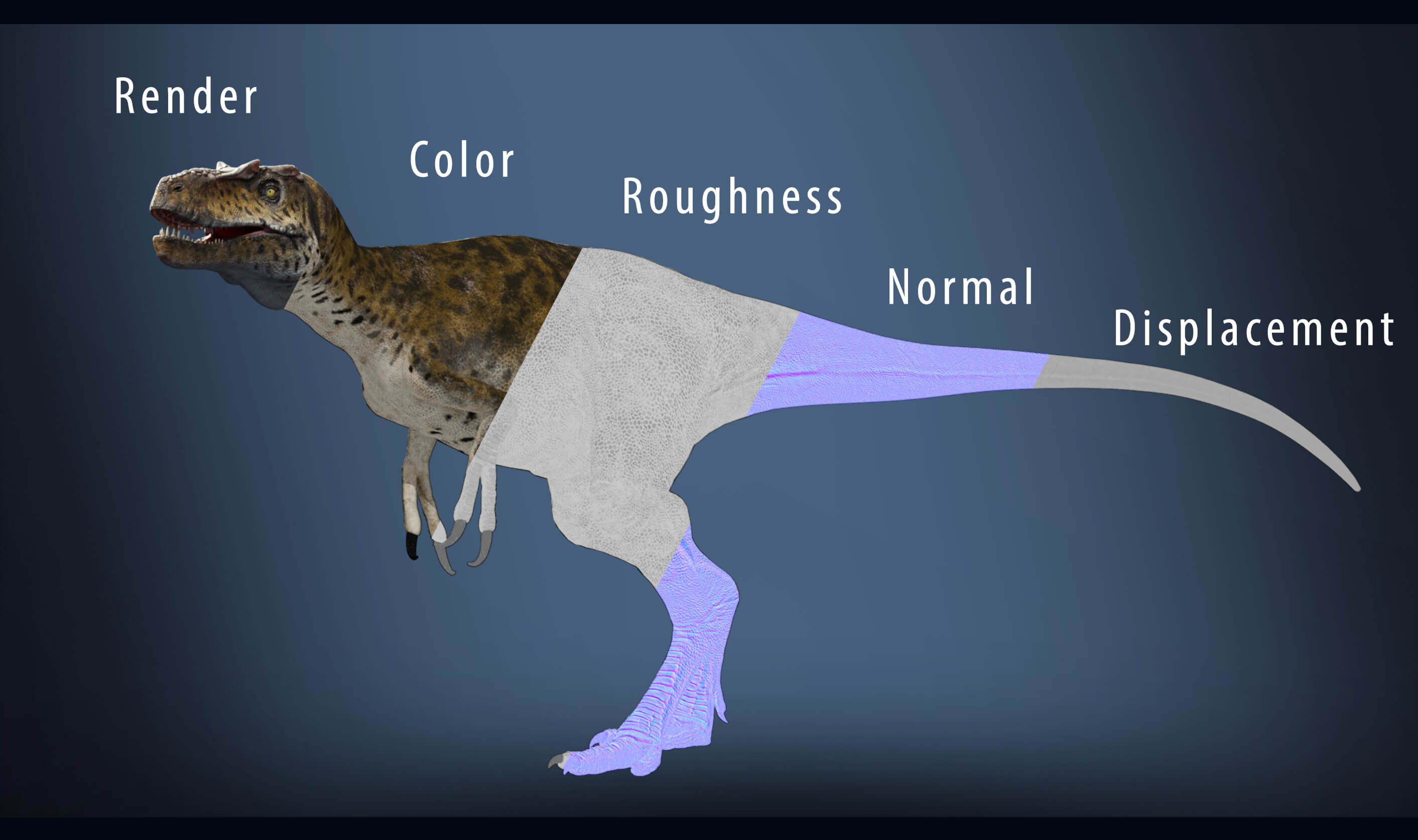 Nanotyrannus Rig 3D Model