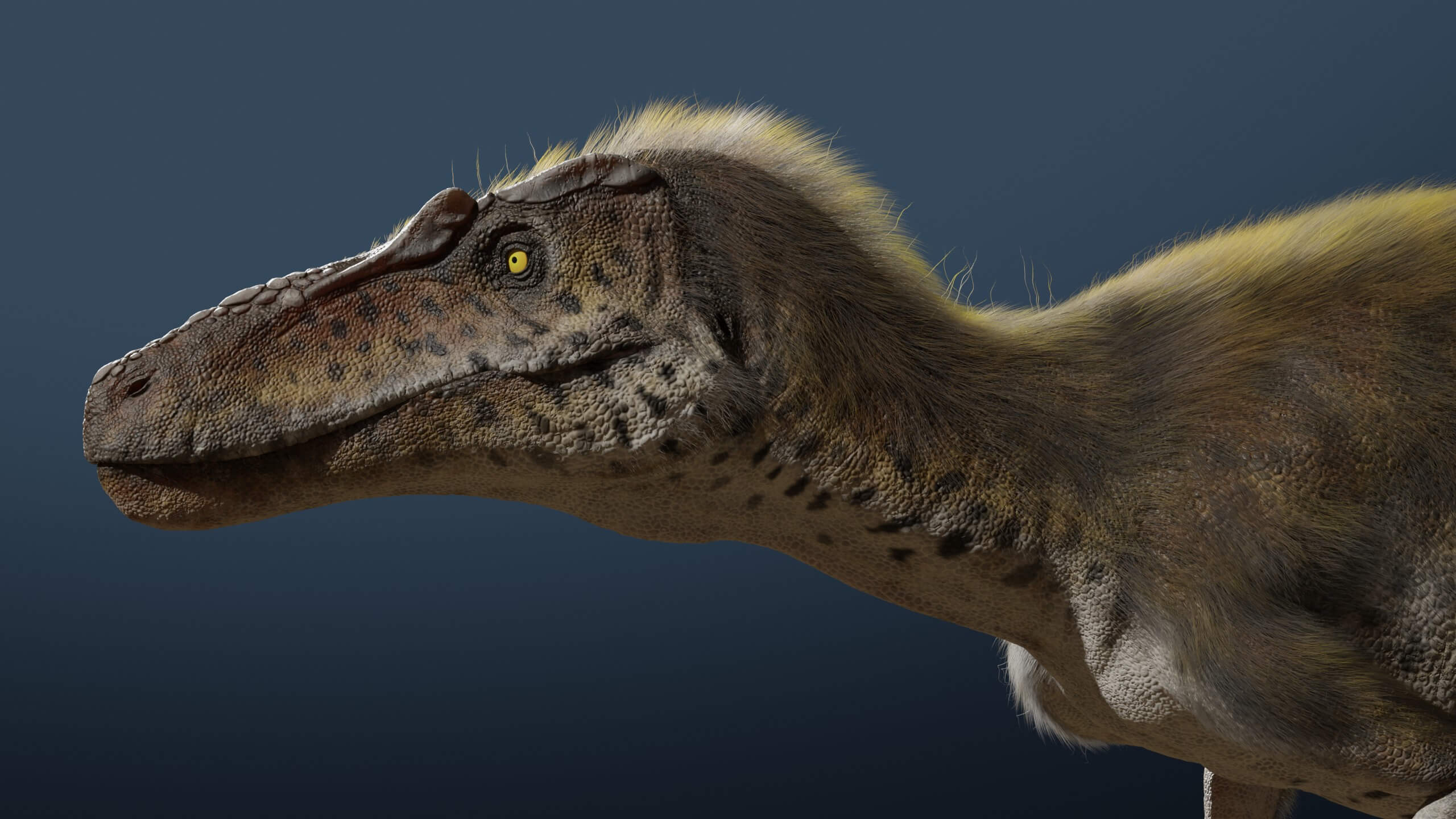 Nanotyrannus Rig 3D Model