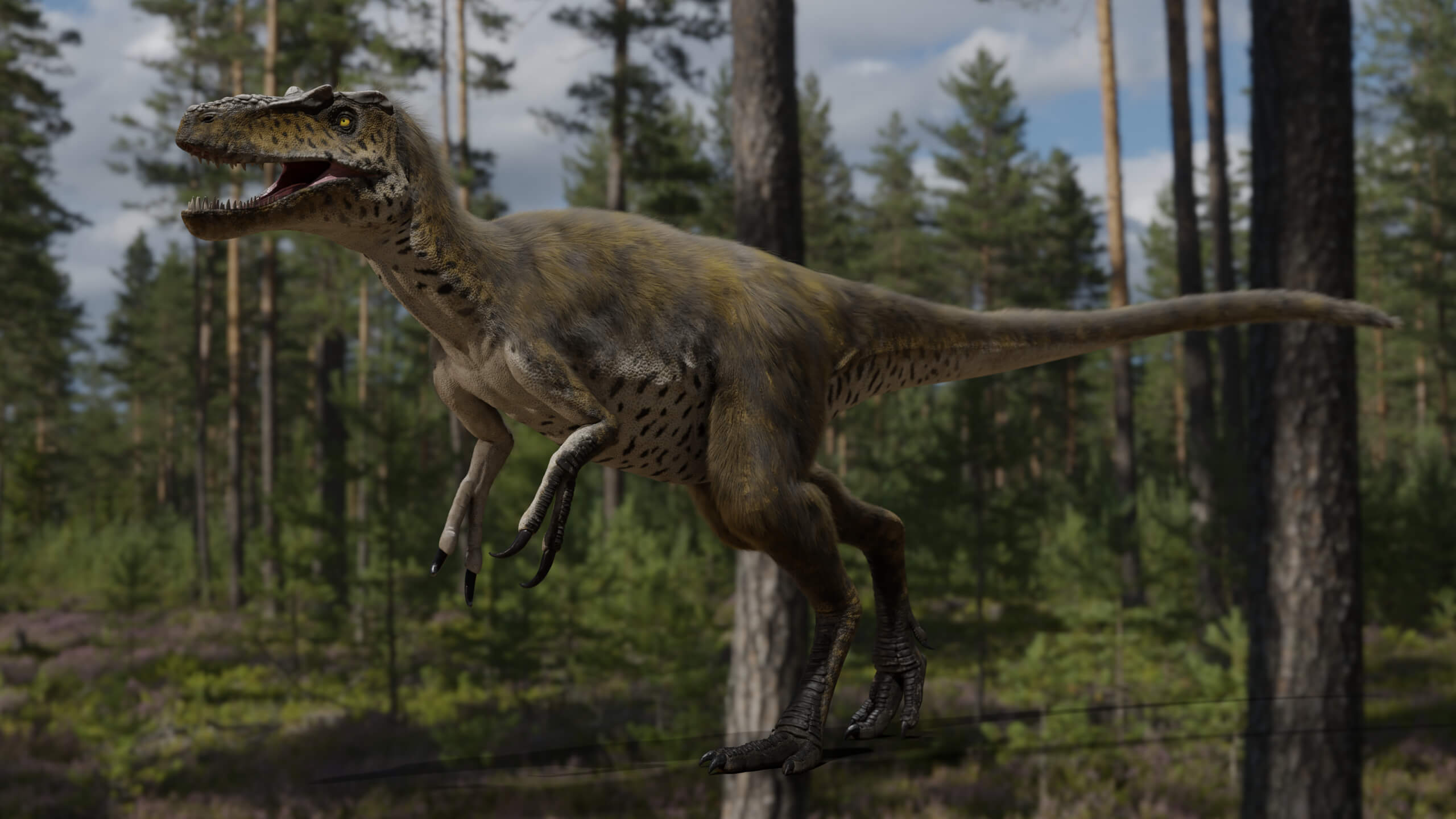Nanotyrannus Rig 3D Model