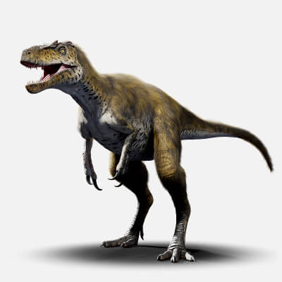 Nanotyrannus Rig