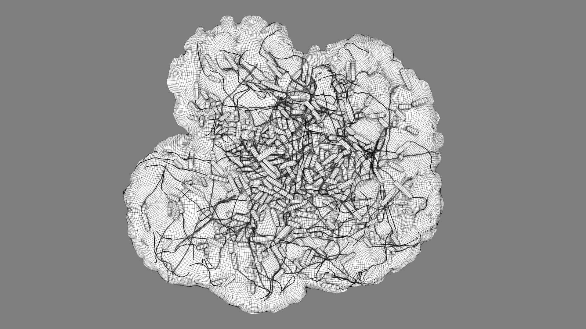 E. coli Bacteria on Epithelial Tissue 3D Model