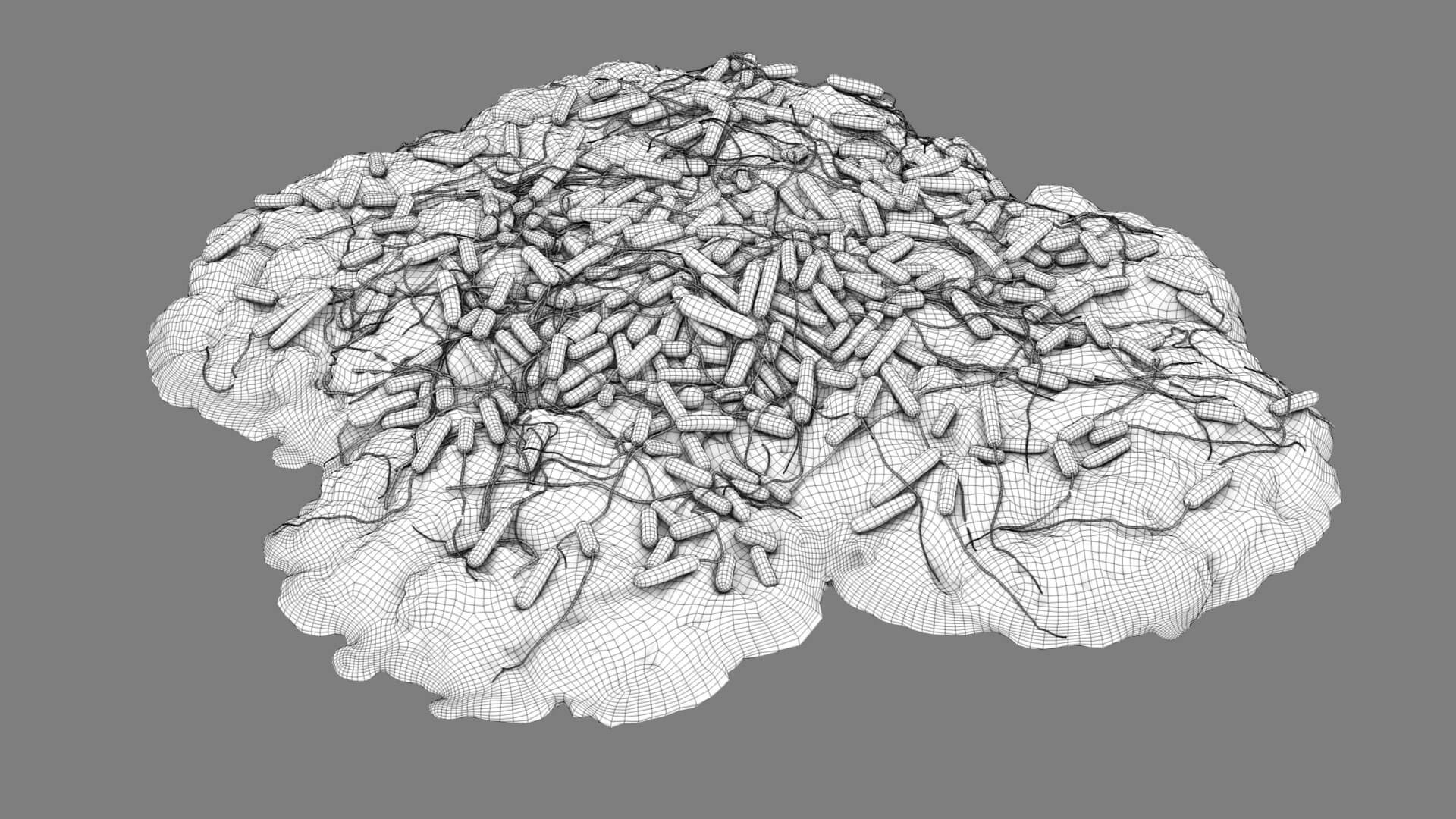 E. coli Bacteria on Epithelial Tissue 3D Model