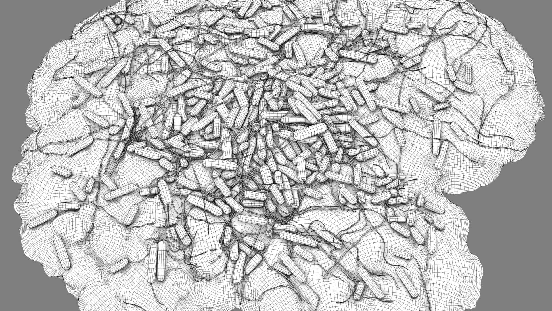 E. coli Bacteria on Epithelial Tissue 3D Model