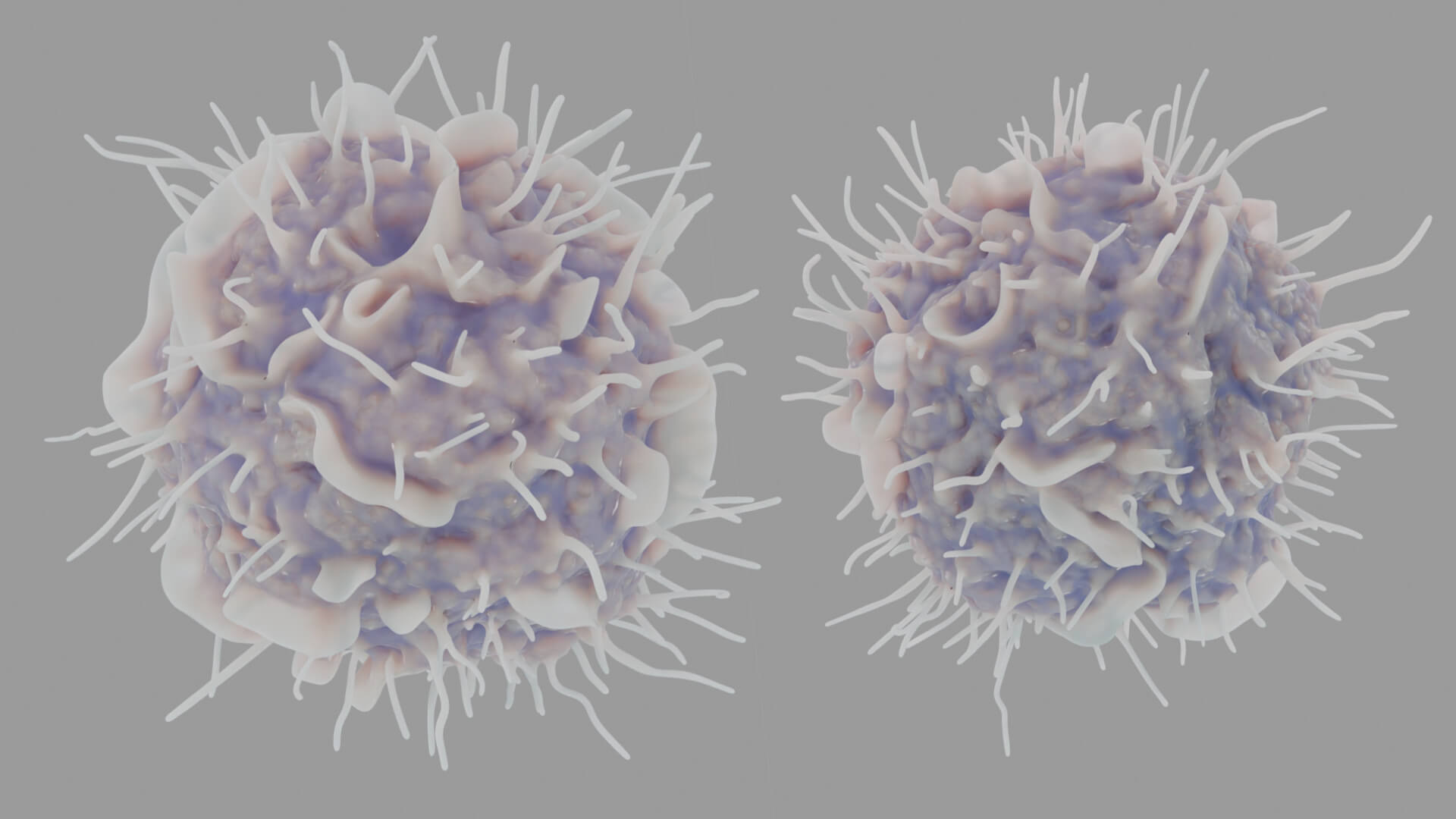 Leukocyte or Dendritic Cell 3D Model