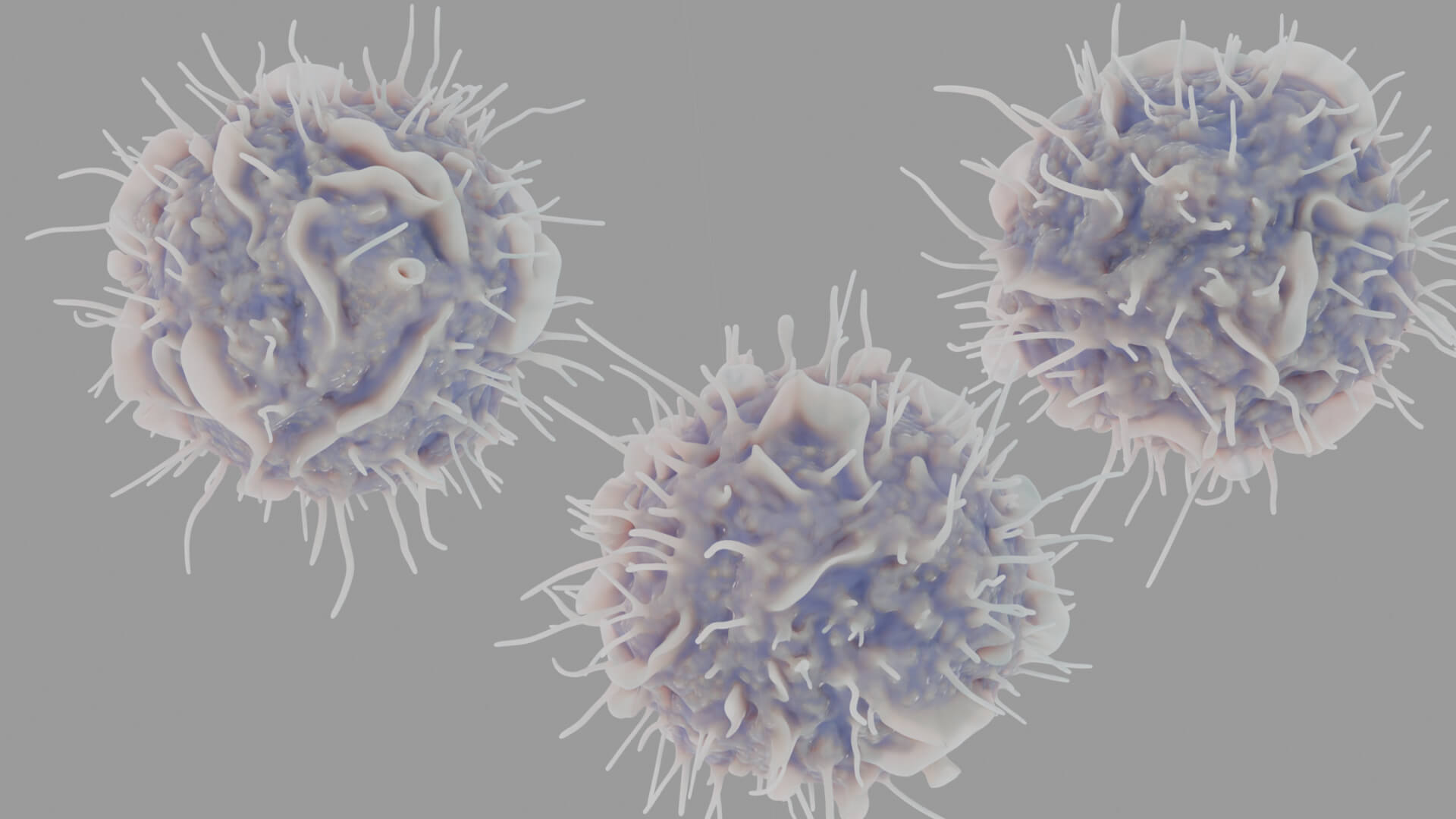 Leukocyte or Dendritic Cell 3D Model