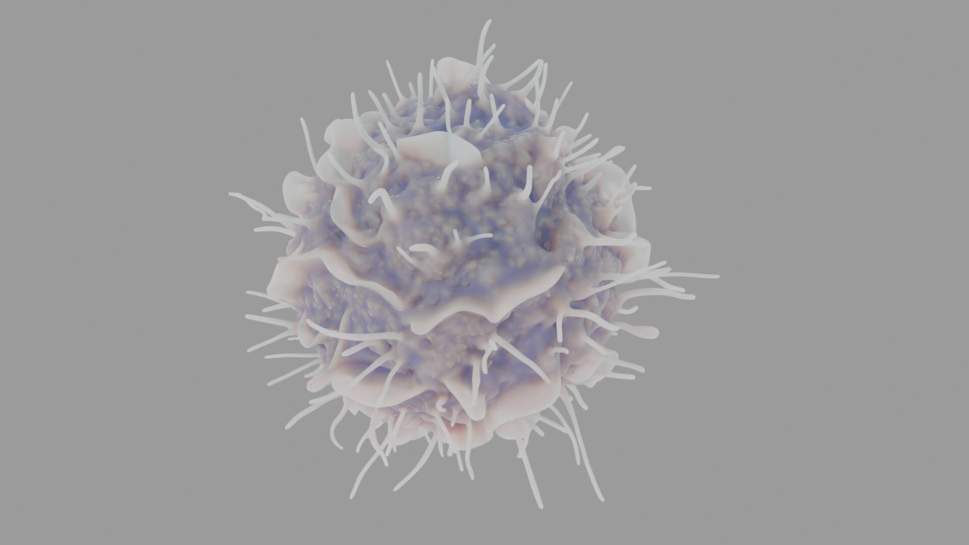 Leukocyte or Dendritic Cell 3D Model