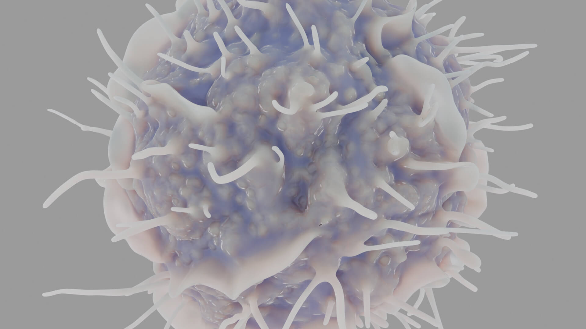 Leukocyte or Dendritic Cell 3D Model