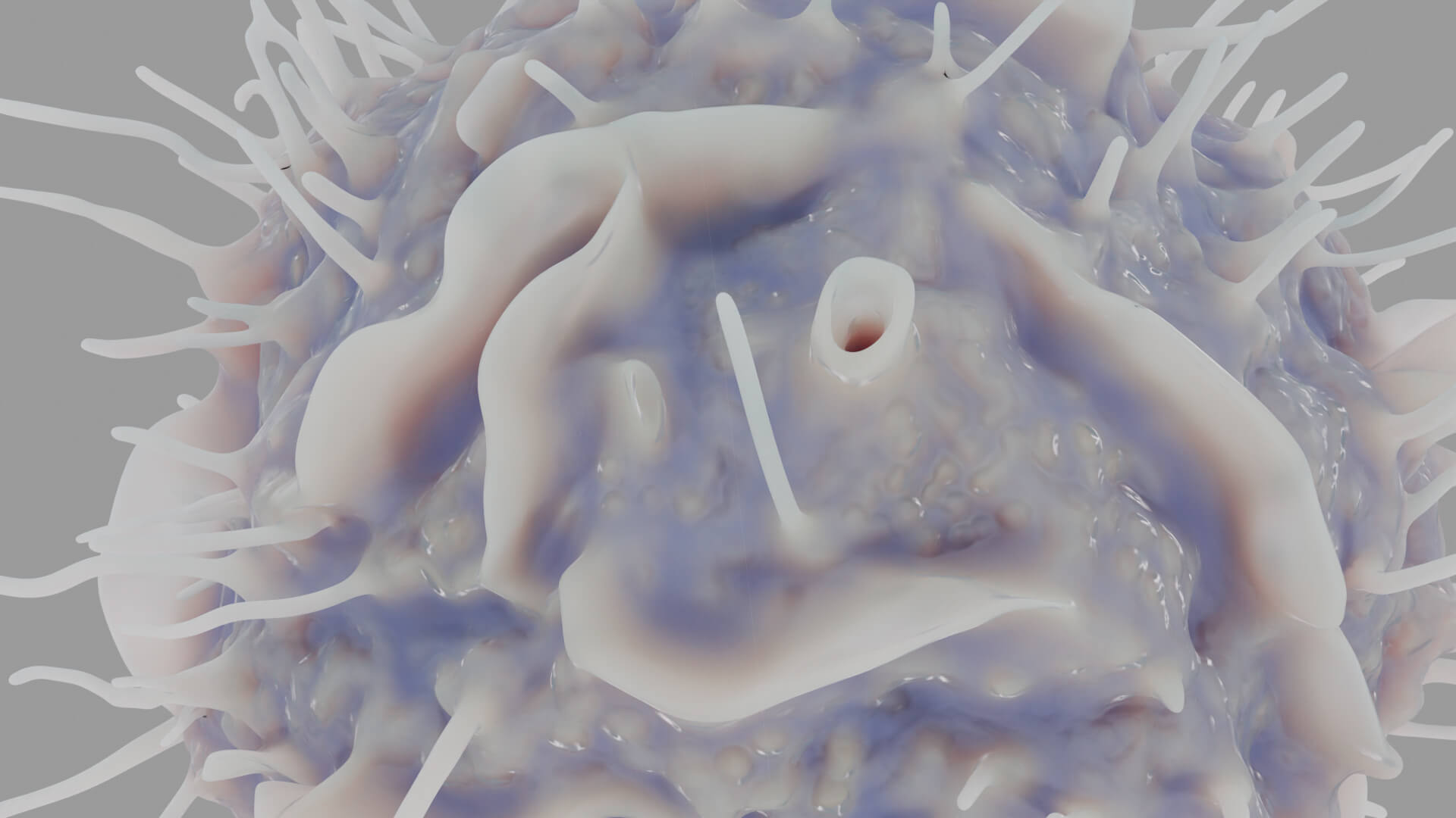 Leukocyte or Dendritic Cell 3D Model