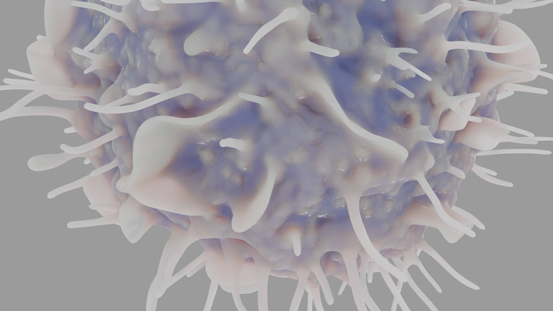 Leukocyte or Dendritic Cell 3D Model