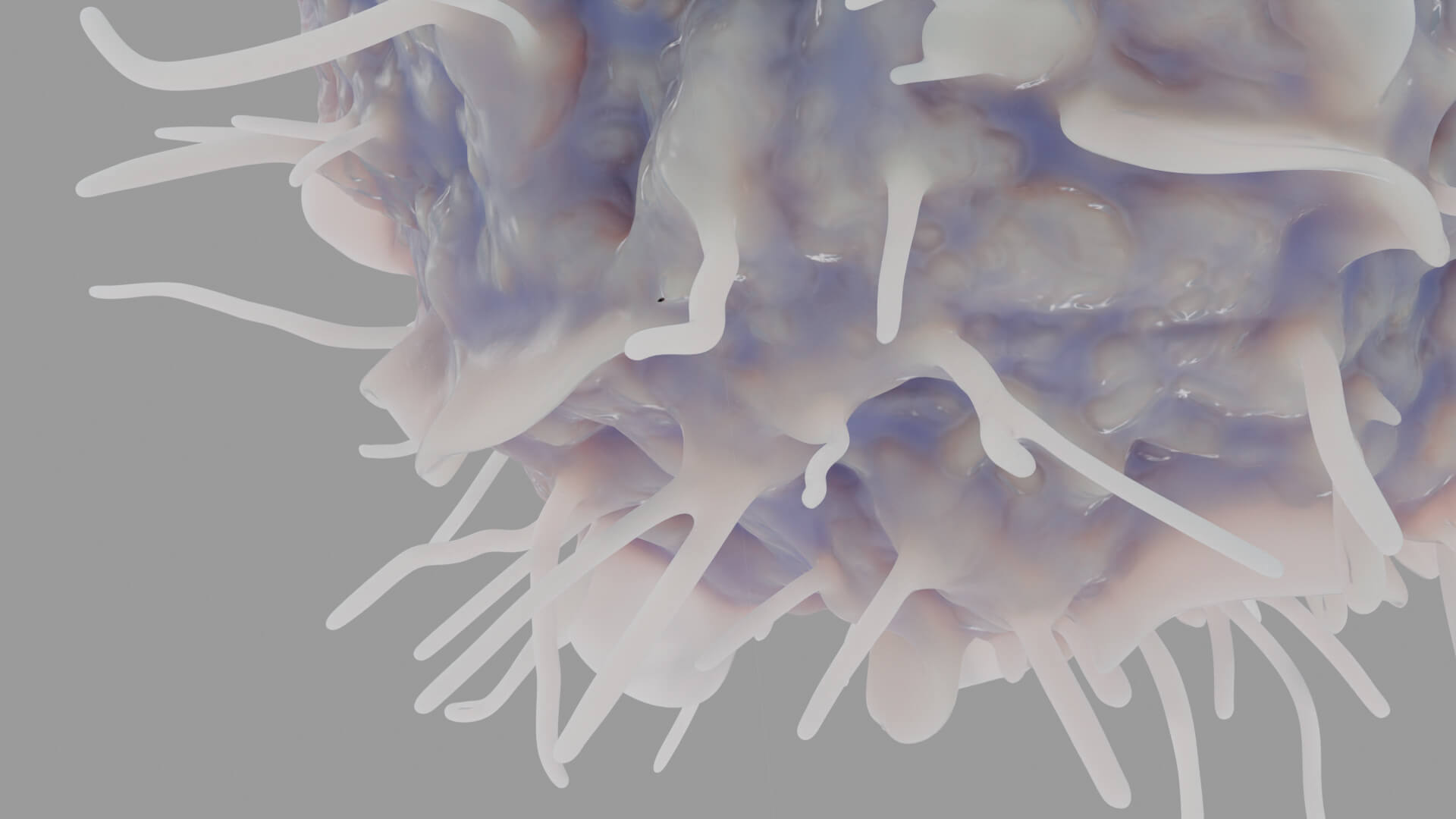 Leukocyte or Dendritic Cell 3D Model
