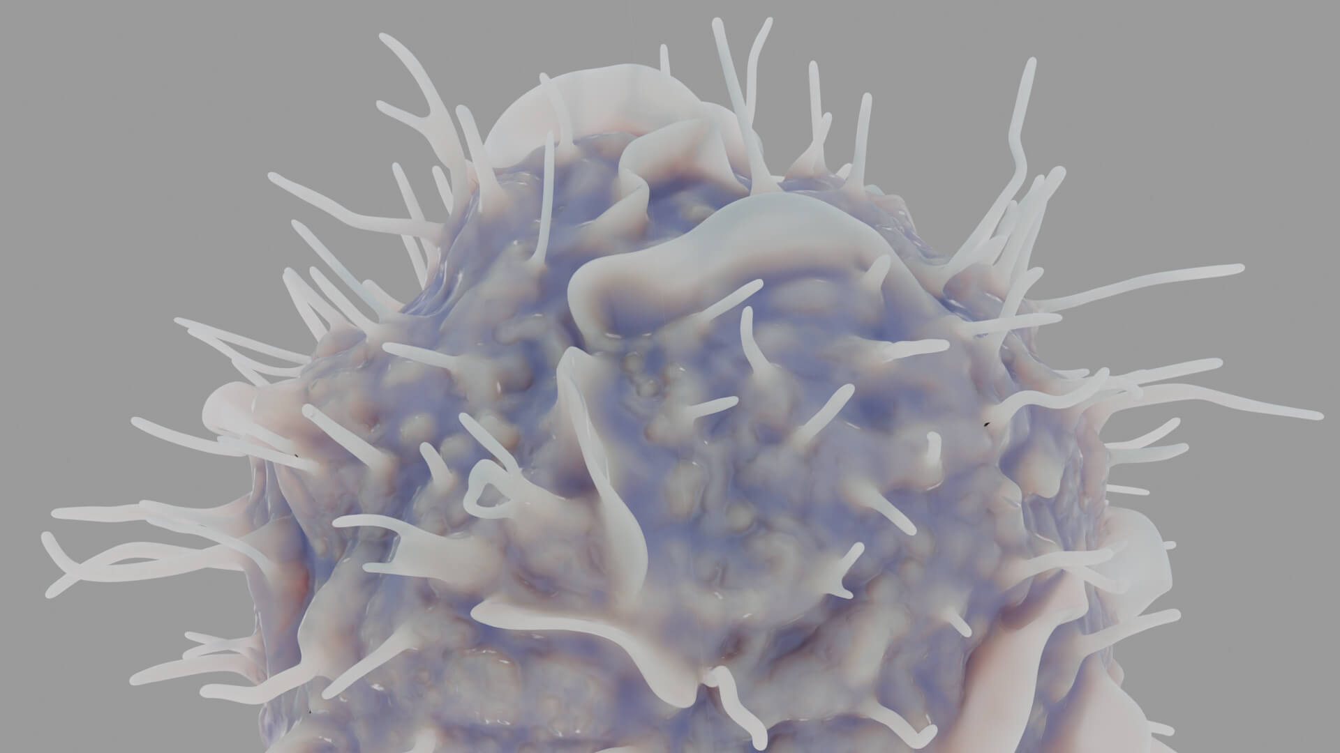 Leukocyte or Dendritic Cell 3D Model
