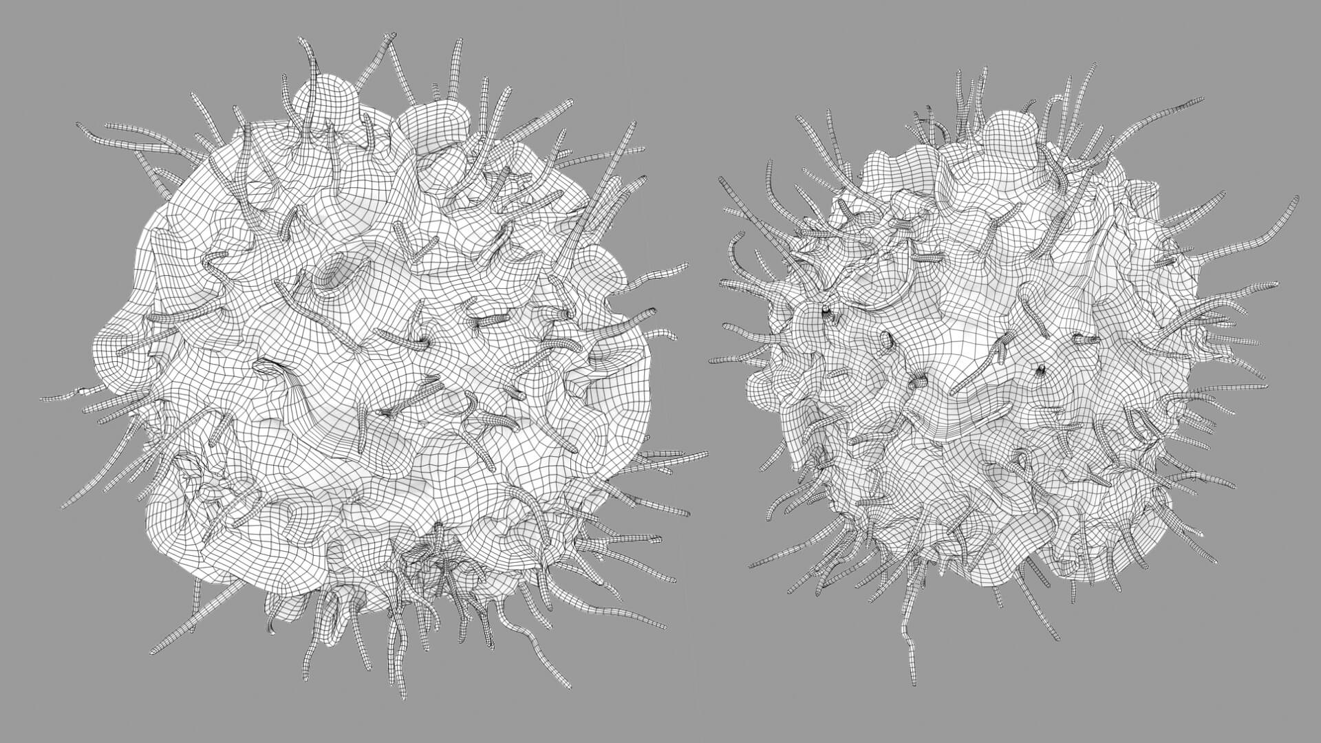 Leukocyte or Dendritic Cell 3D Model