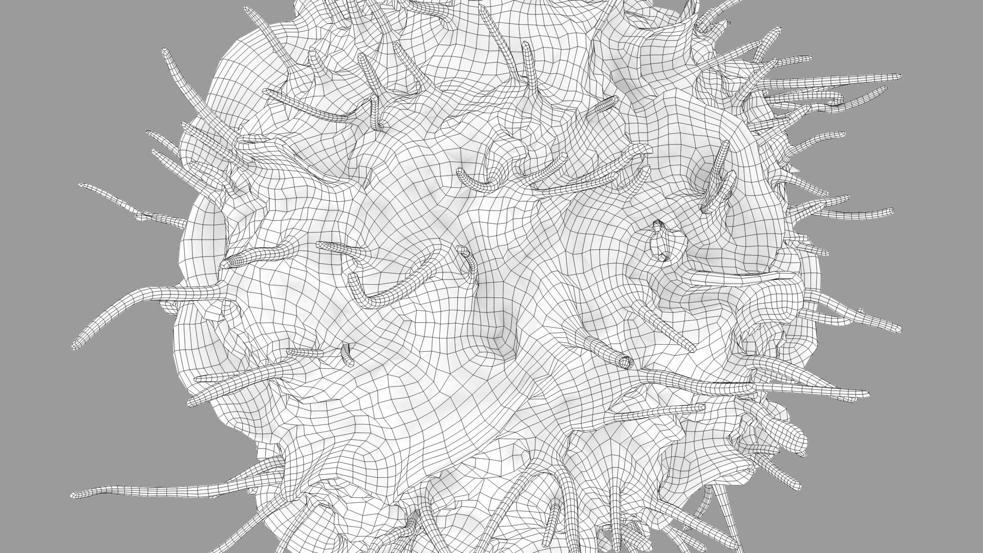 Leukocyte or Dendritic Cell 3D Model