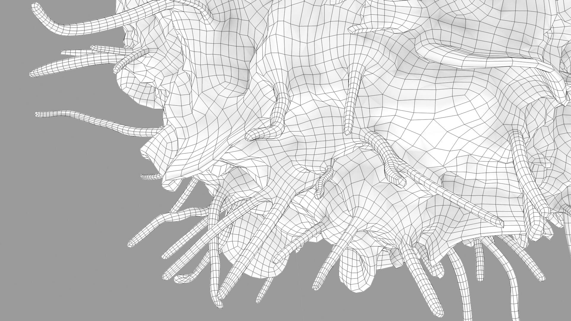 Leukocyte or Dendritic Cell 3D Model
