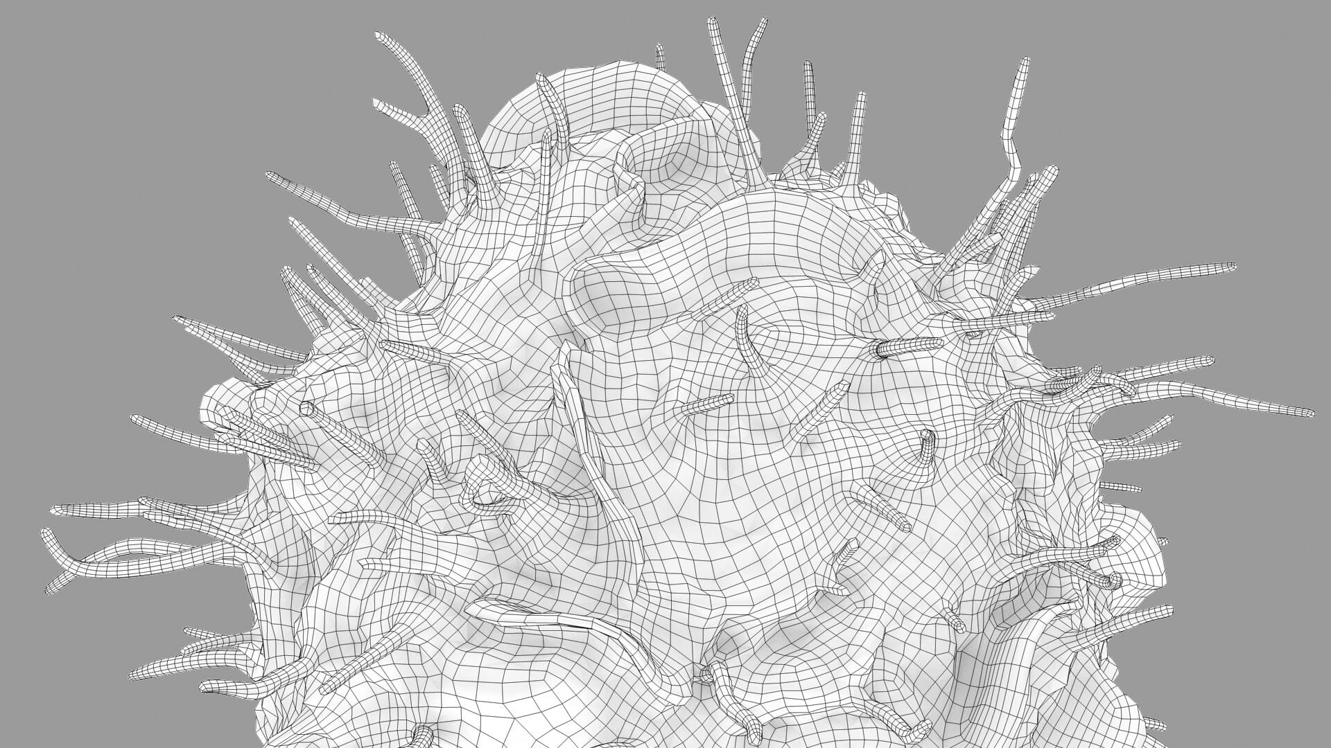 Leukocyte or Dendritic Cell 3D Model