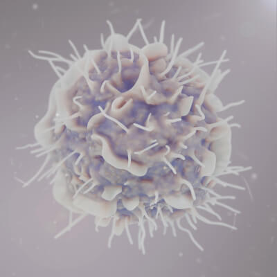 Leukocyte or Dendritic Cell