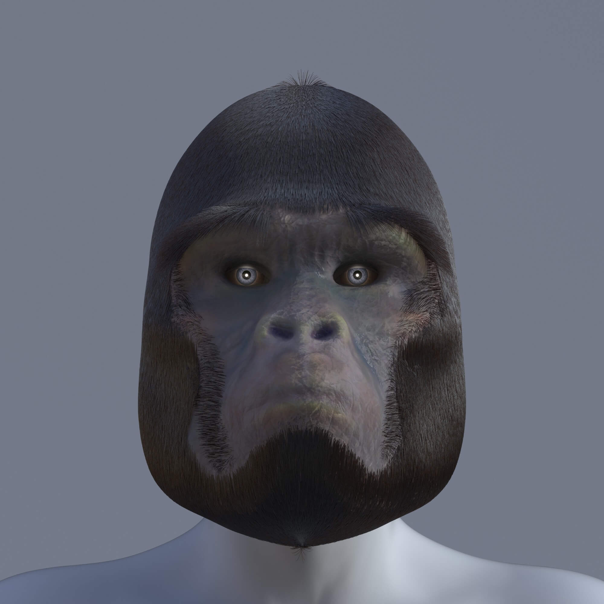 Gorilla Mask for Genesis 8 and 8.1 Male Daz Content