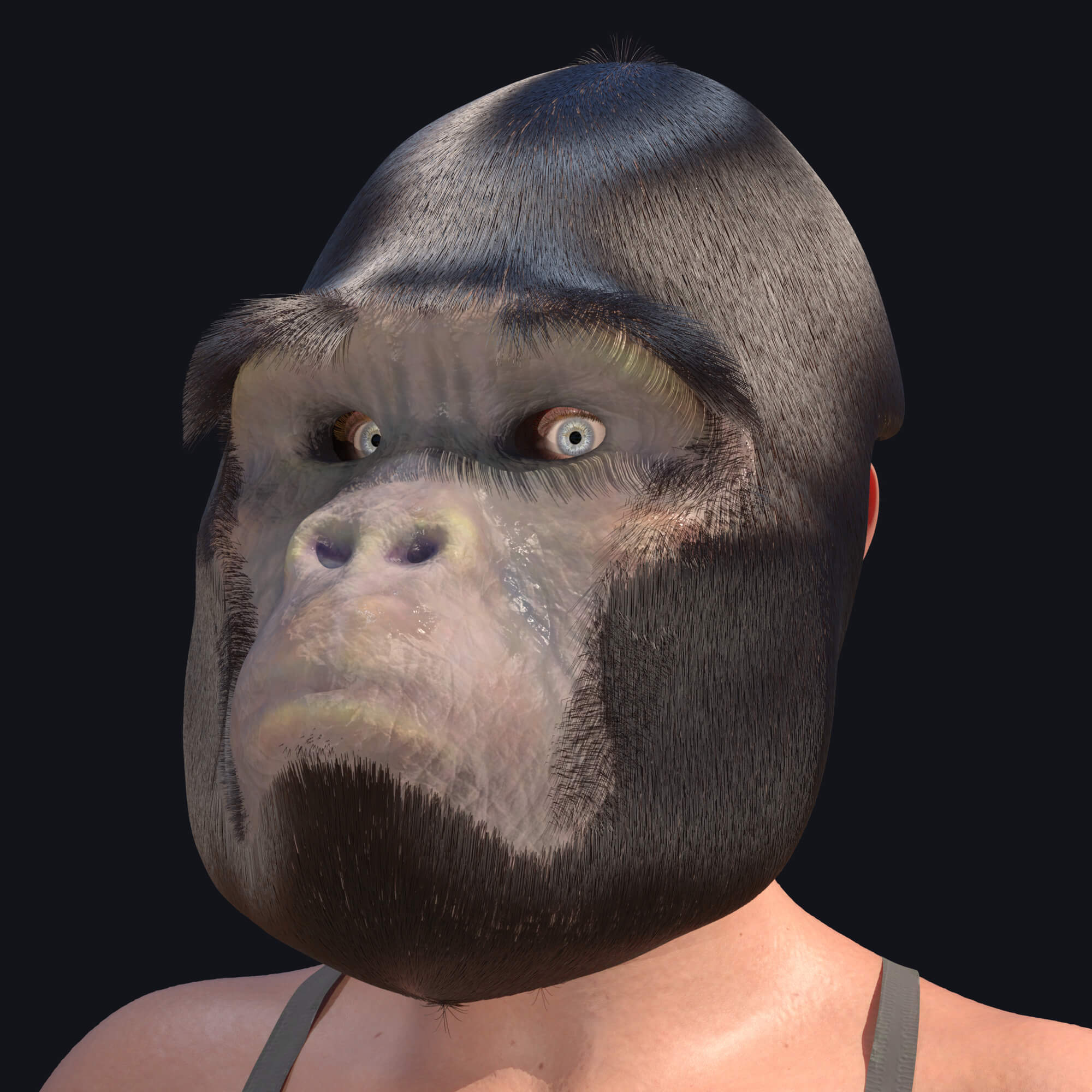 Gorilla Mask Bundle for Genesis 8 8.1 and 9 Daz Content