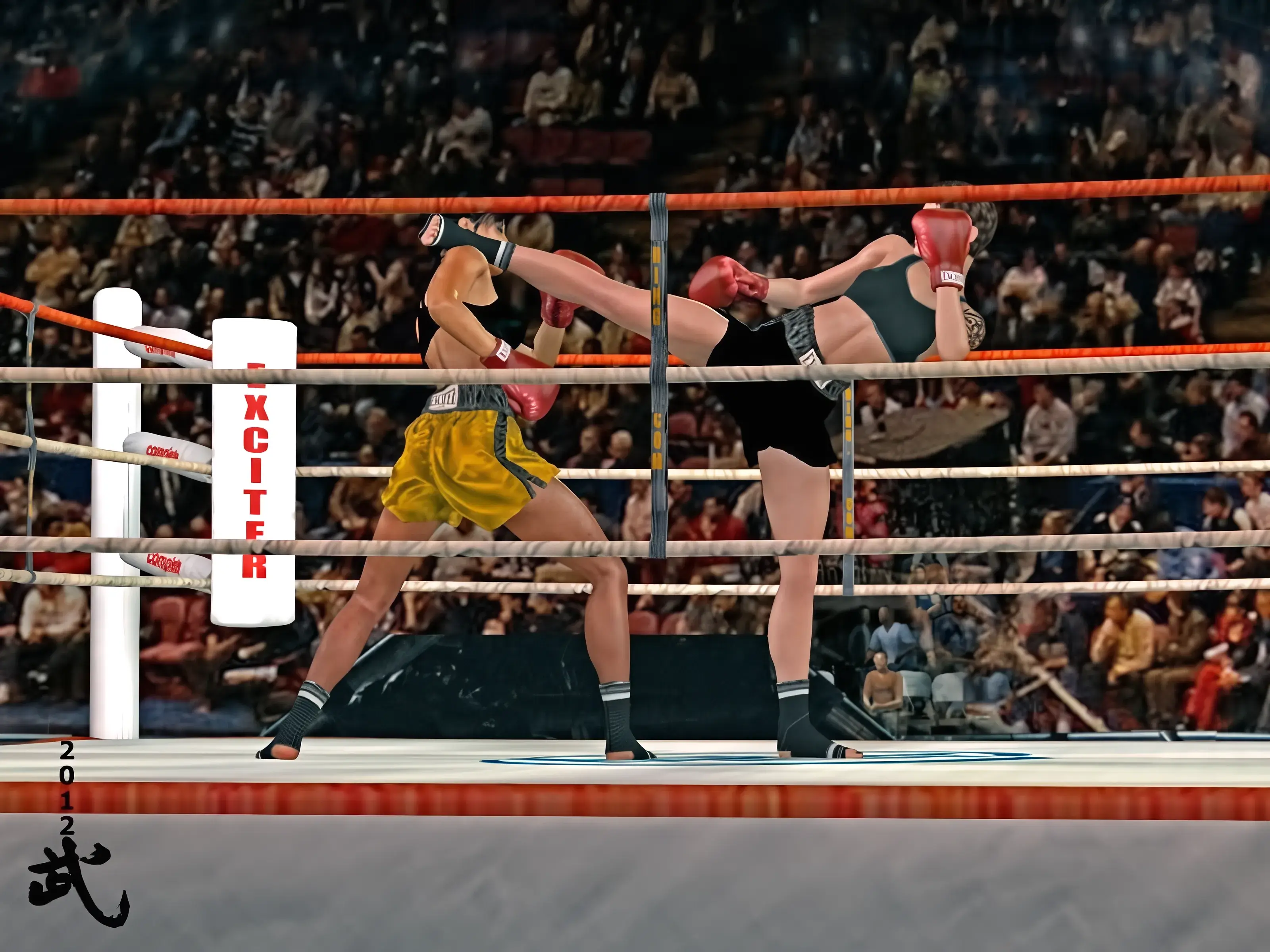 Female Kickboxing 2012 3D Render, Digital Artwork by bu_es