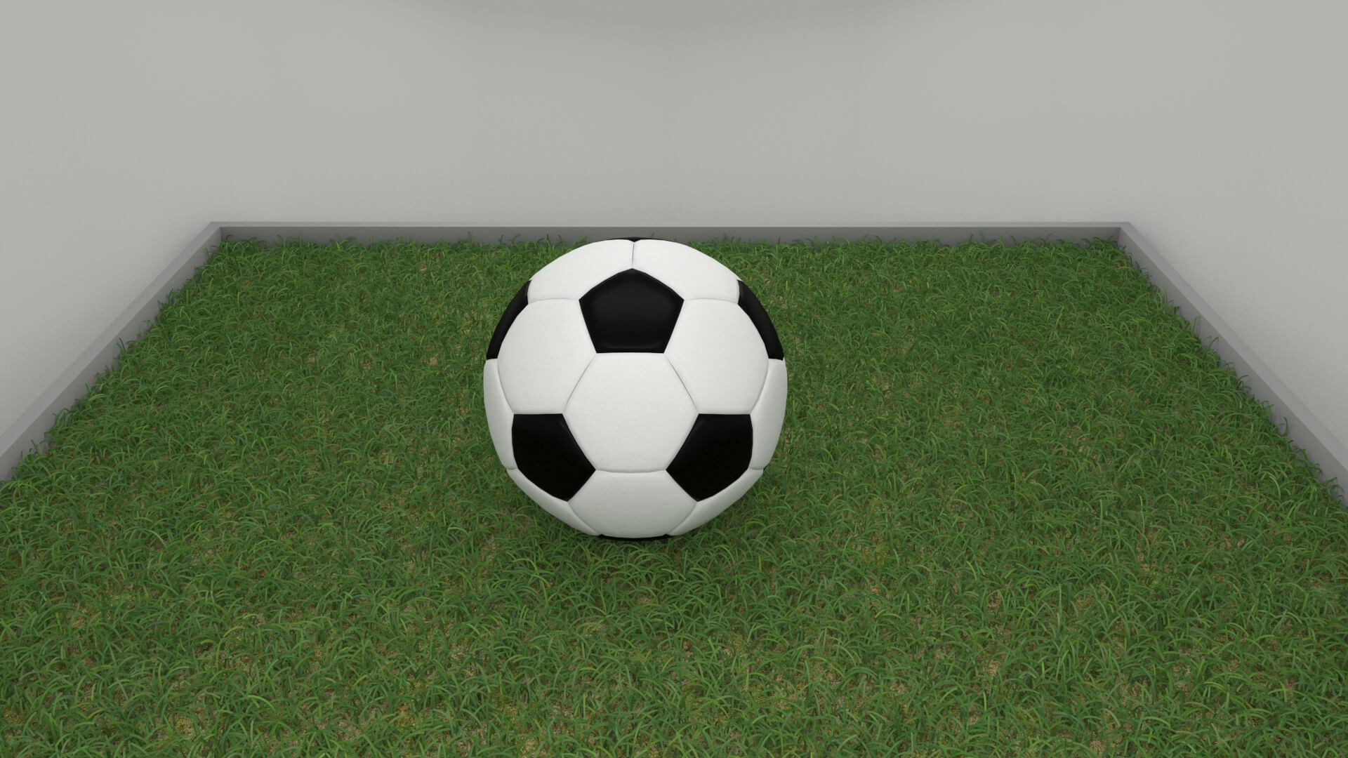 Realistic Soccer Ball and Football 3D Model 3D Model