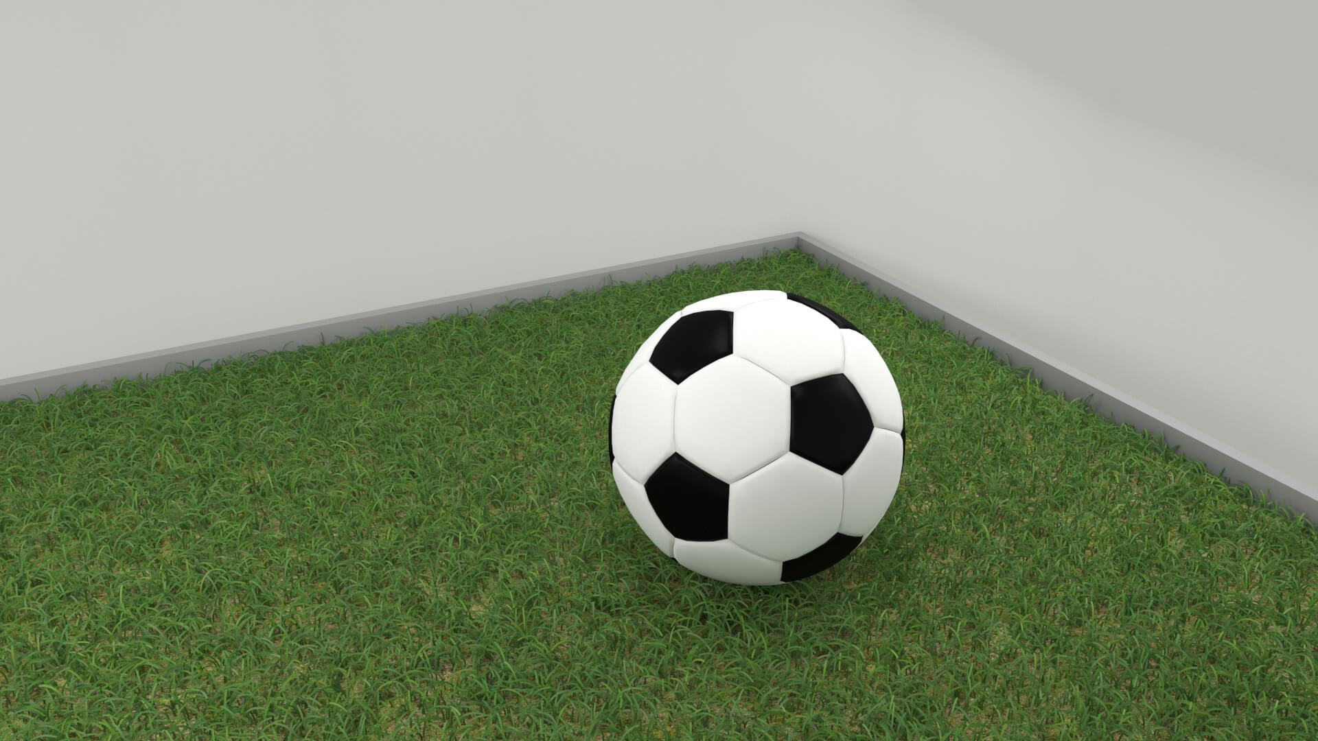 Realistic Soccer Ball and Football 3D Model 3D Model