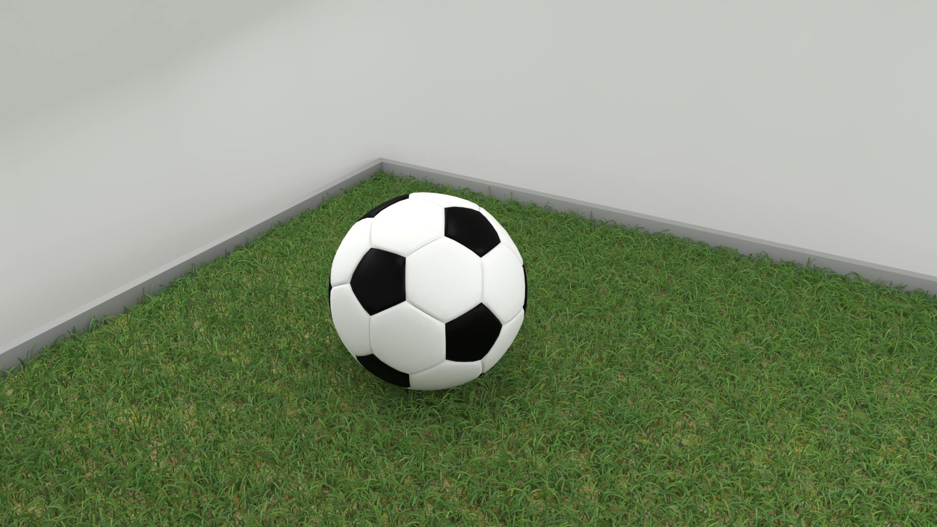 Realistic Soccer Ball and Football 3D Model 3D Model