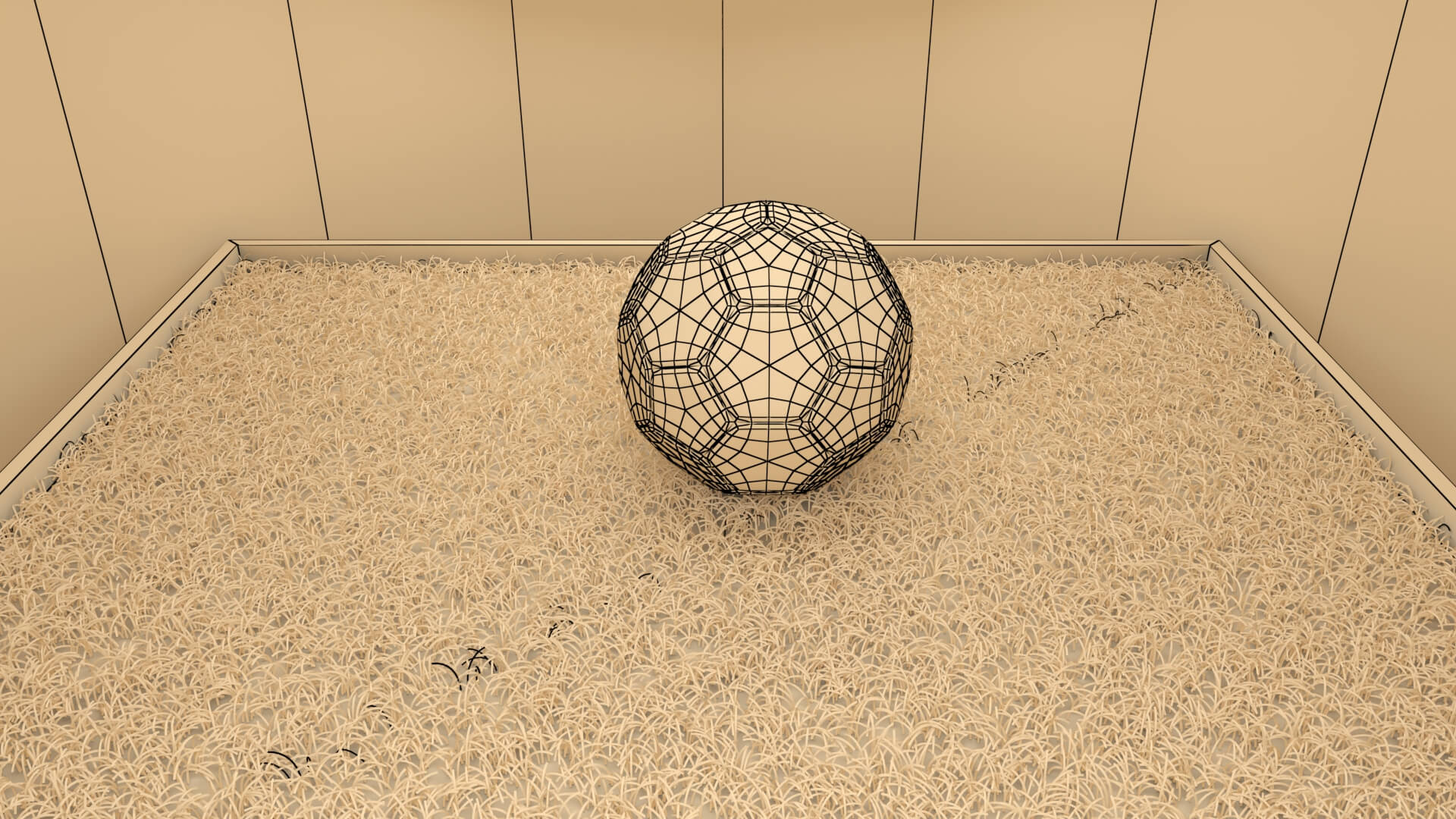 Realistic Soccer Ball and Football 3D Model 3D Model