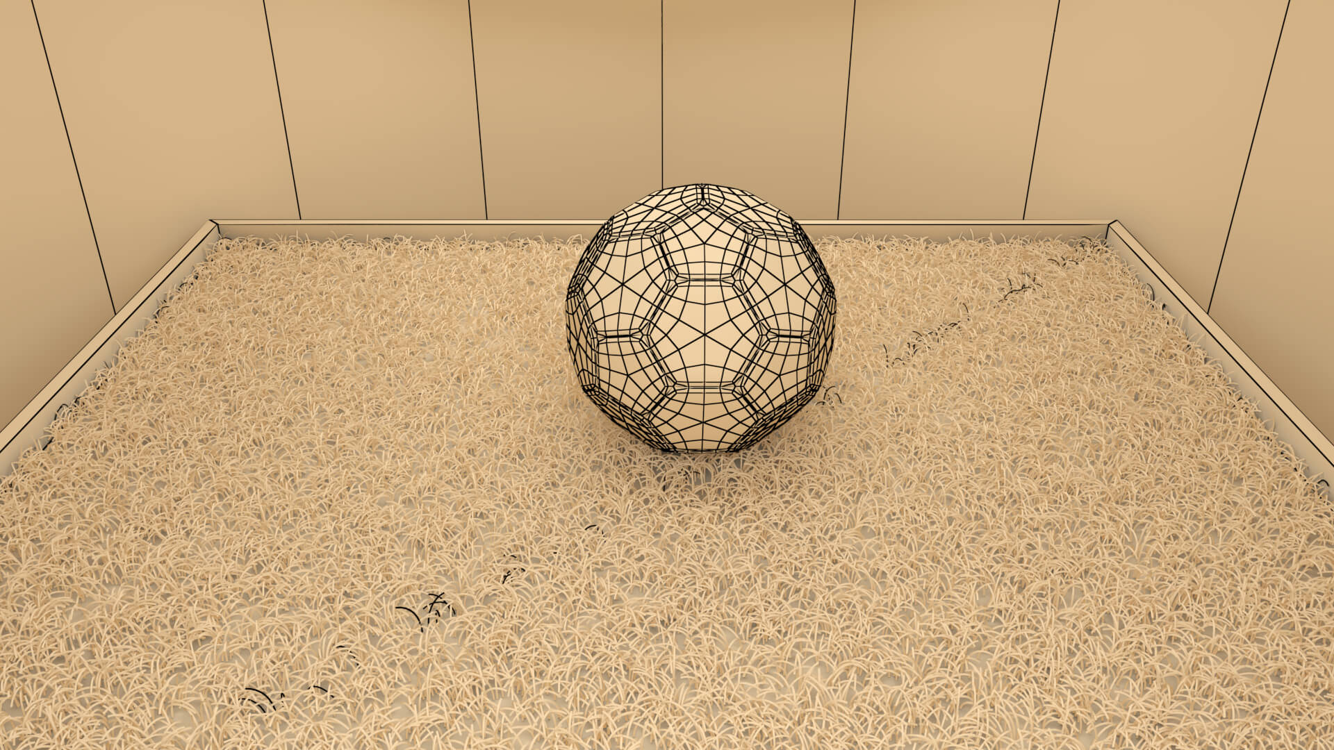 Realistic Soccer Ball and Football 3D Model 3D Model