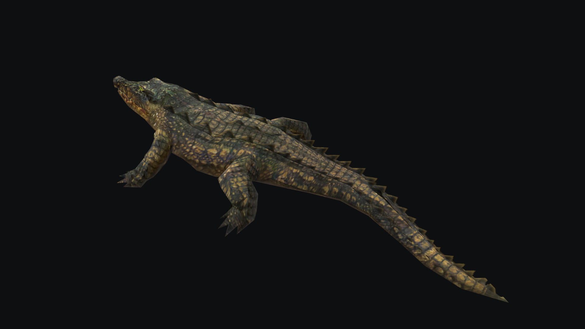 Animated Alligator Crocodile 3D Model