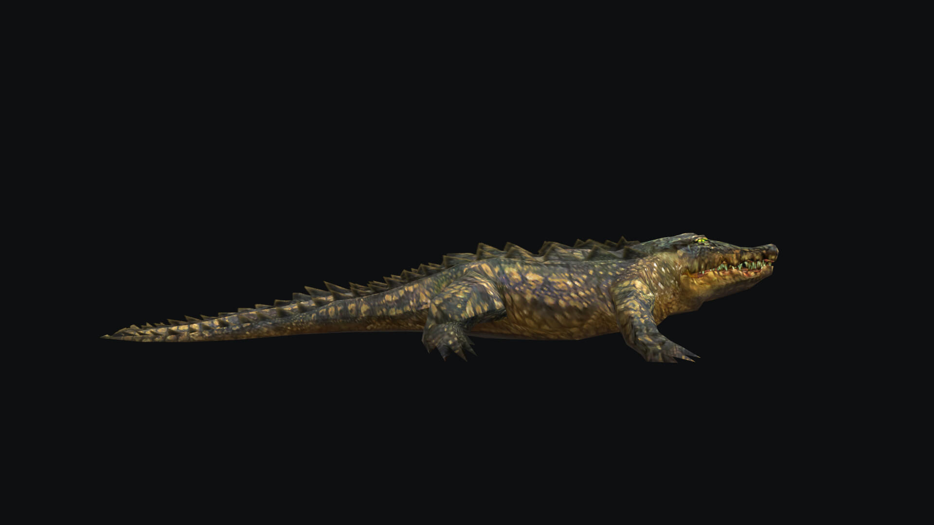 Animated Alligator Crocodile 3D Model