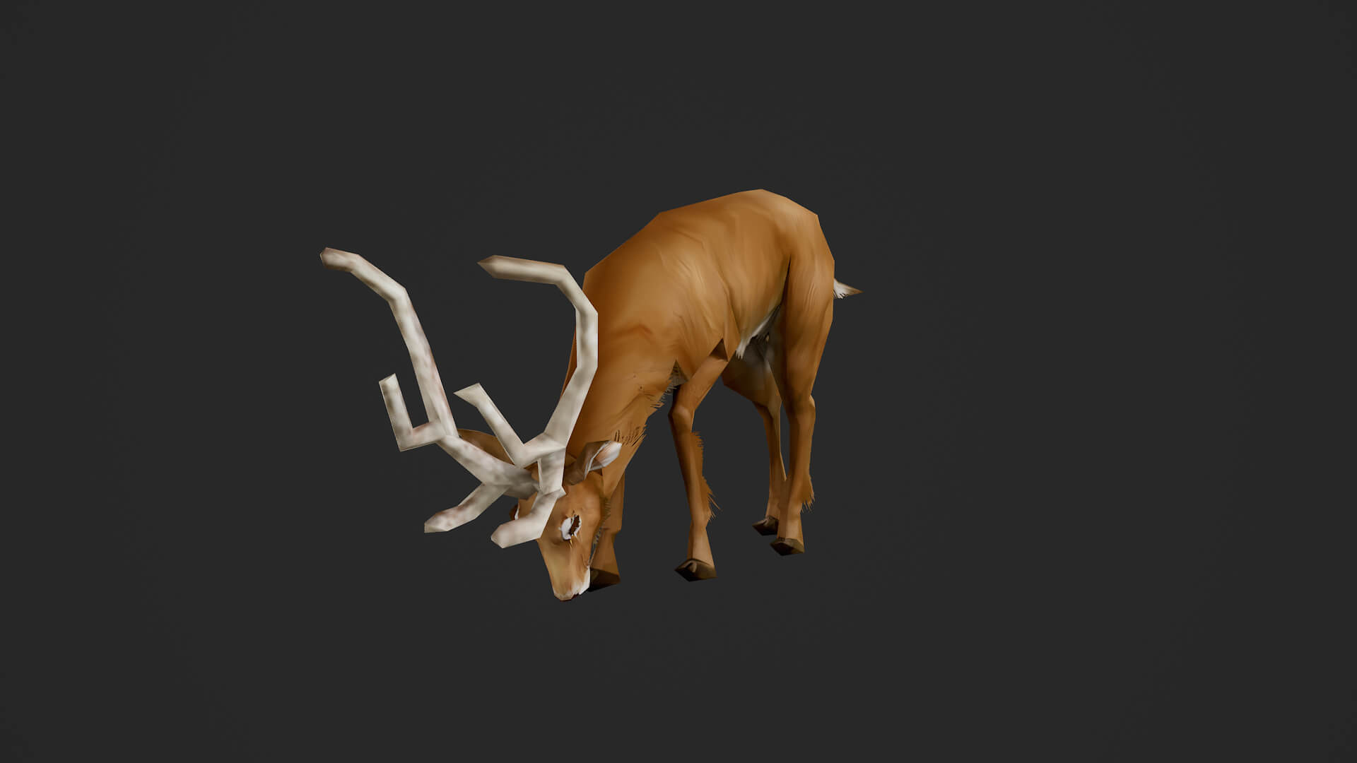 Animated Deer 3D Model
