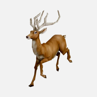 Animated Deer