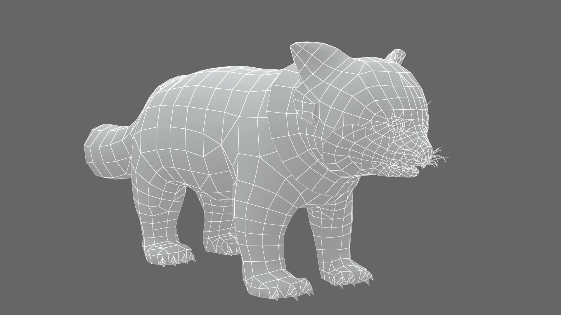 Animated Red Panda Lesser Panda 3D Model