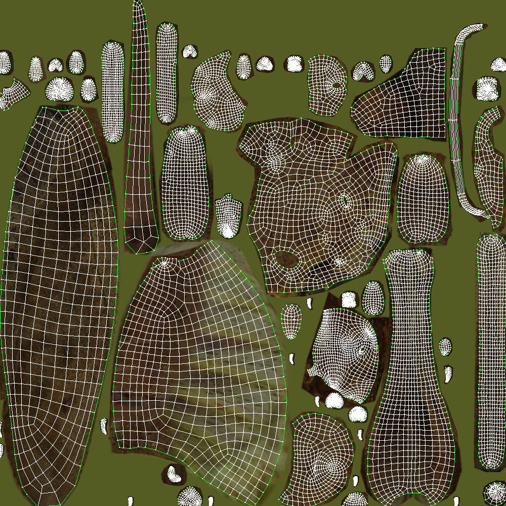 Katydid Grasshopper Mecopoda Elongata 3D Model