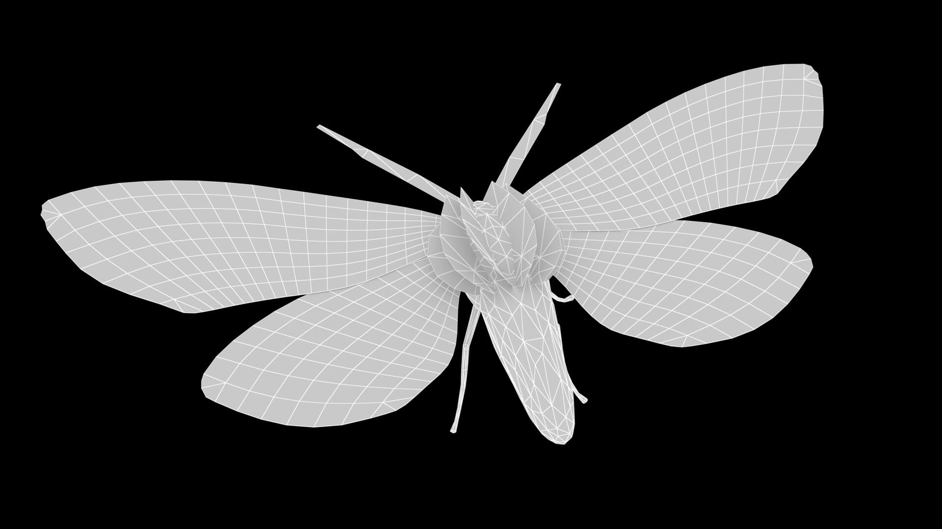 Moth Chrysorithrum Flavomaculata 3D Model