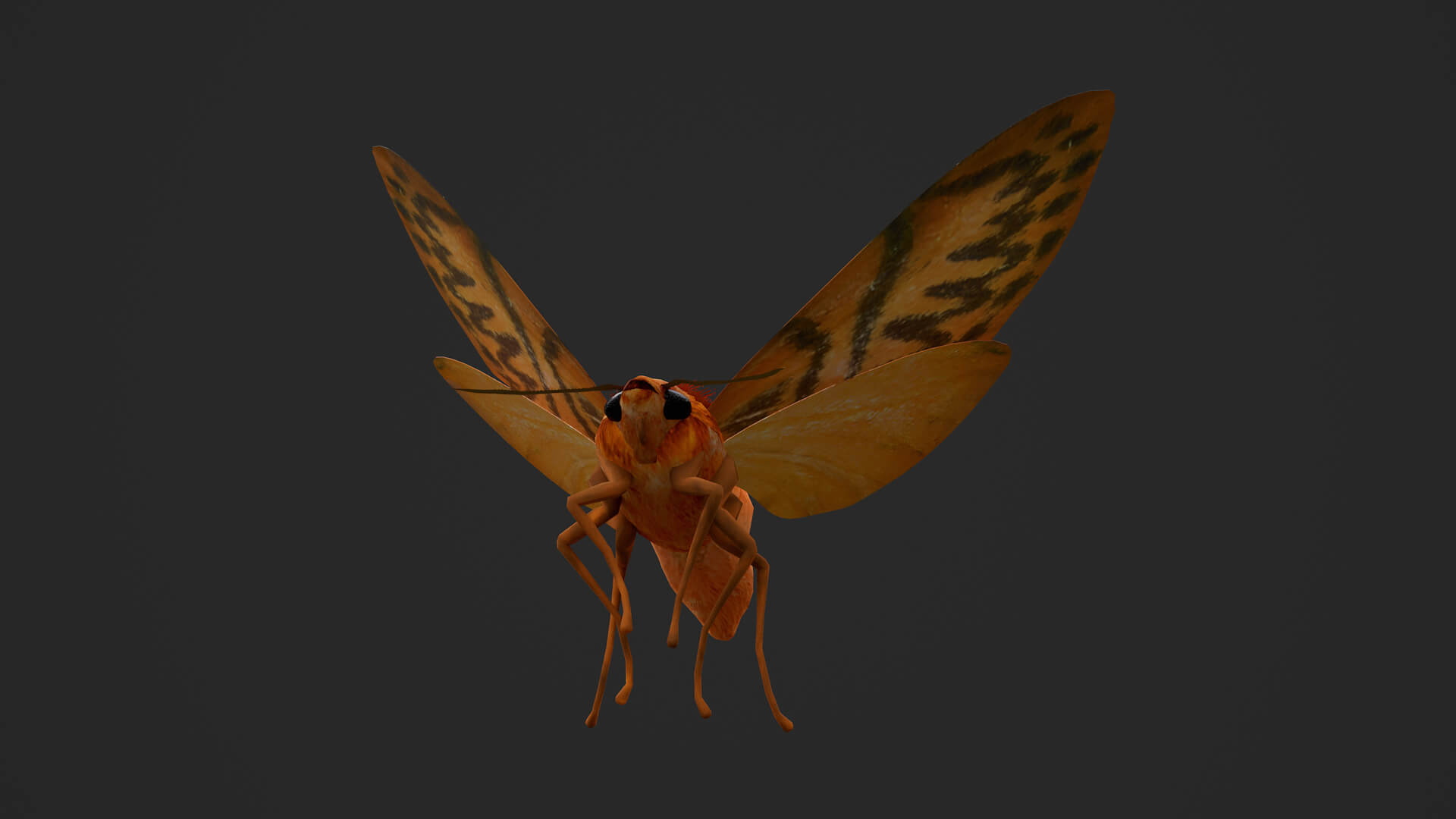 Moth Lithosia 3D Model