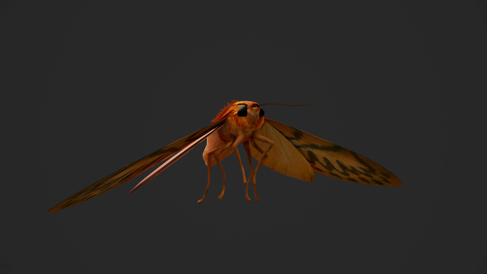 Moth Lithosia 3D Model
