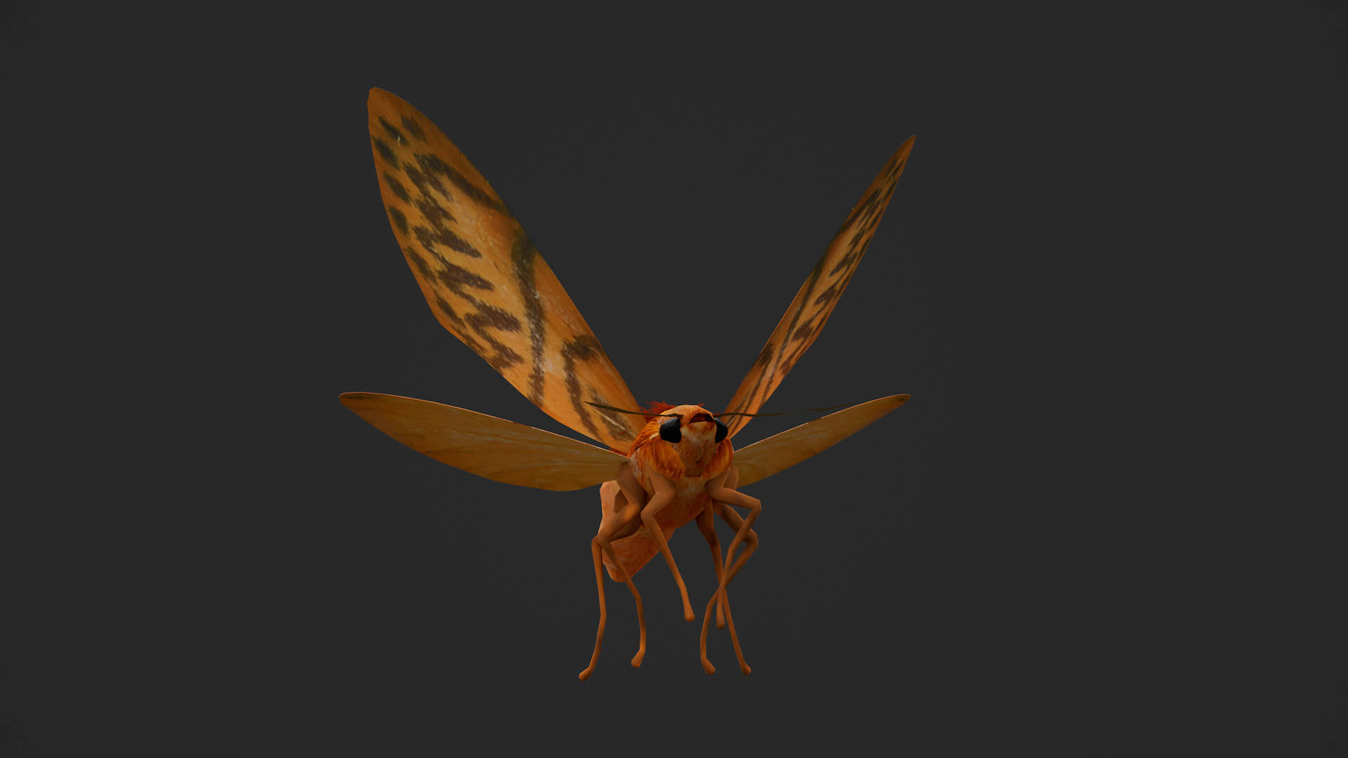 Moth Lithosia 3D Model