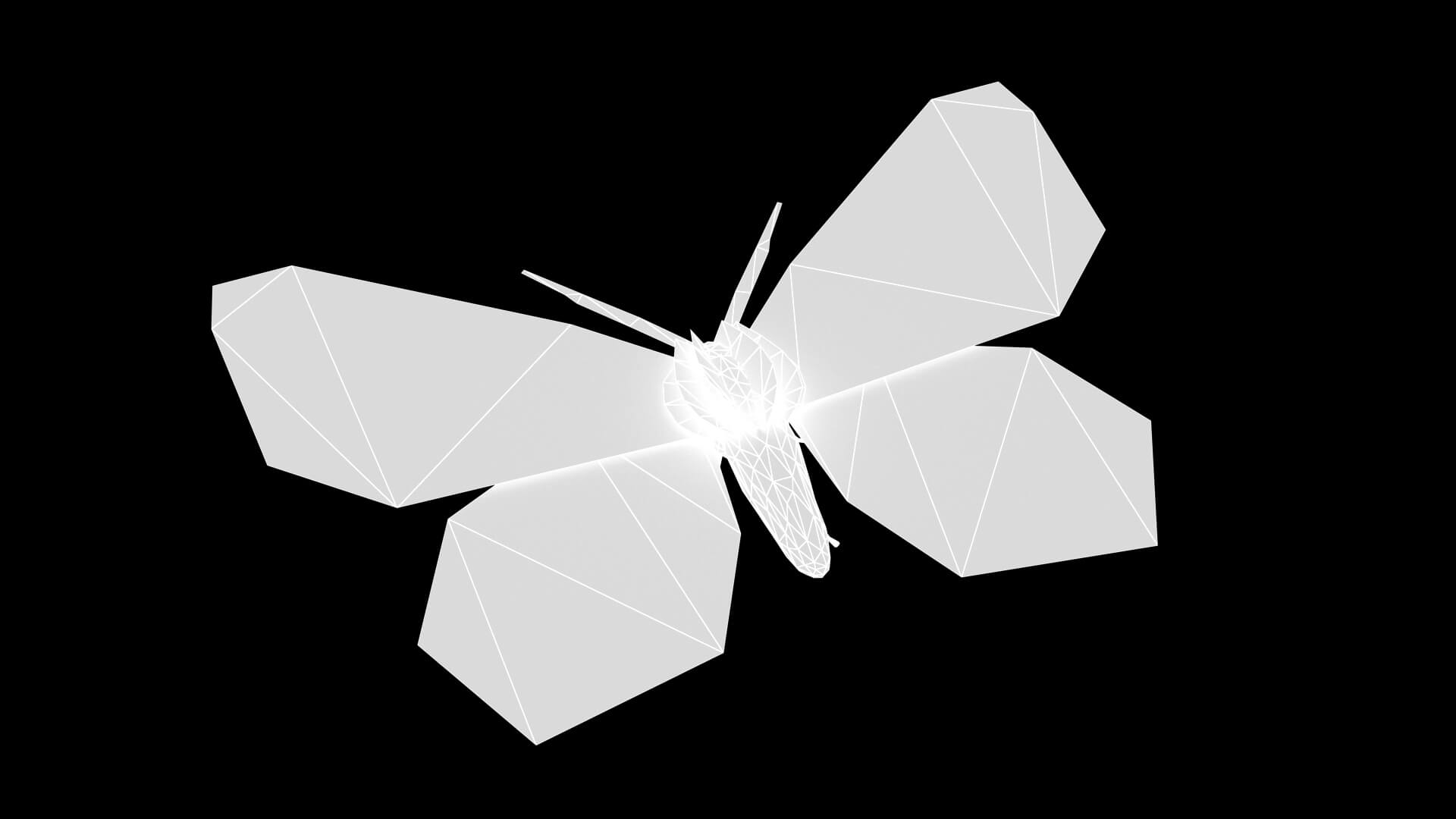 Moth Ourapteryx Nivea 3D Model