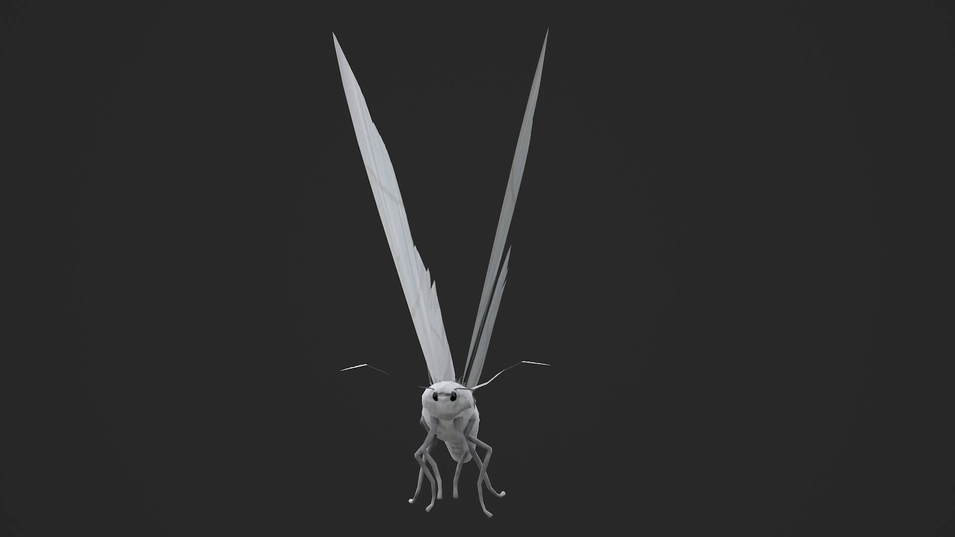 Moth Ourapteryx Nivea 3D Model