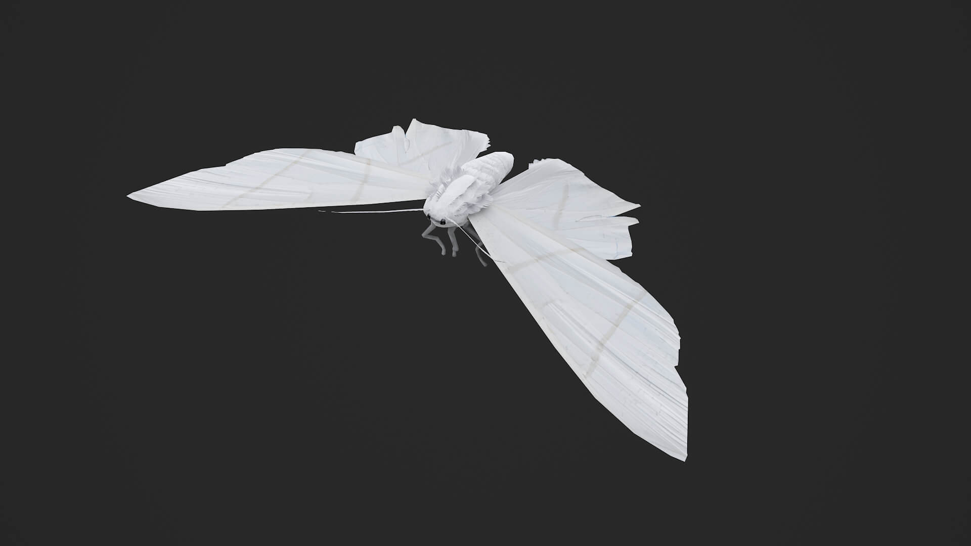Moth Ourapteryx Nivea 3D Model