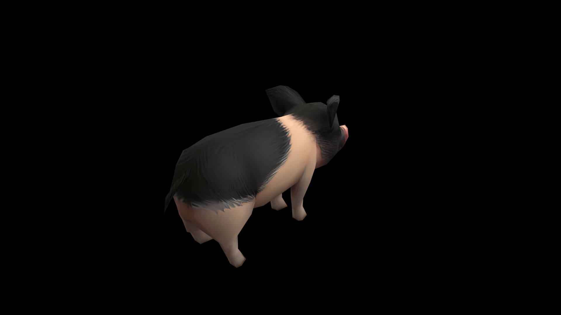 Pig Pet Pig Swine Hog Hoggery 3D Model