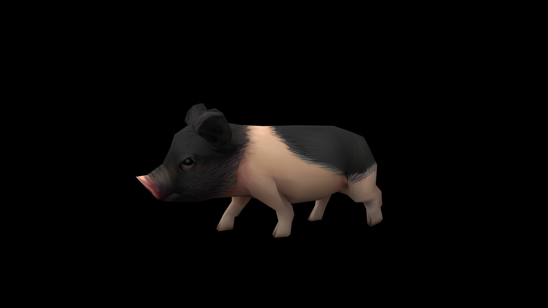Pig Pet Pig Swine Hog Hoggery 3D Model