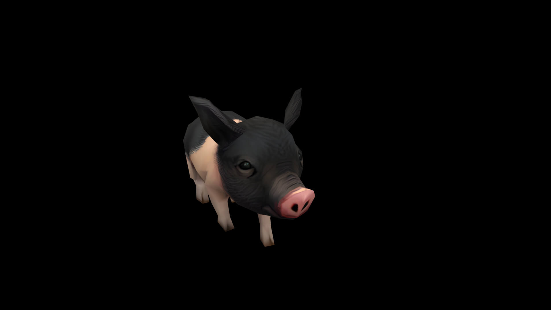 Pig Pet Pig Swine Hog Hoggery 3D Model